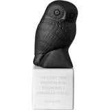 Sophia Wise Owl Statue